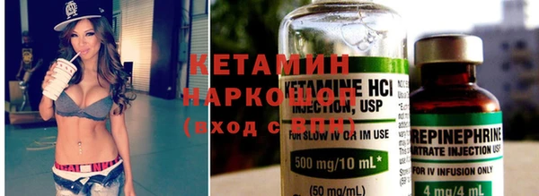 СК Новодвинск