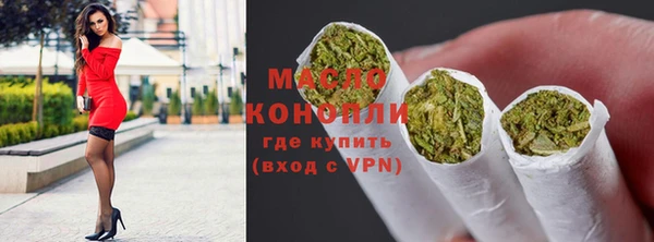 СК Новодвинск