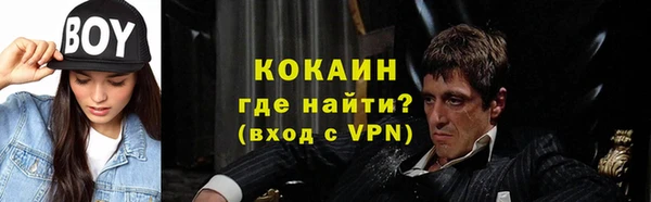стафф Новозыбков