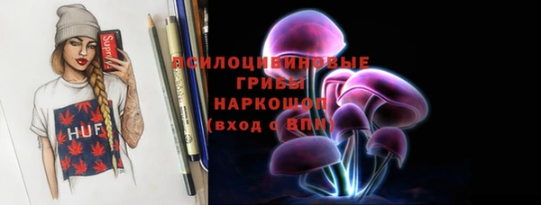 СК Новодвинск