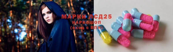 СК Новодвинск