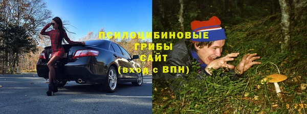 СК Новодвинск