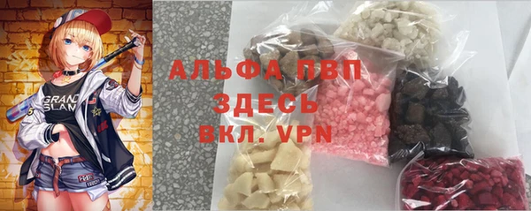 стафф Новозыбков