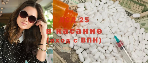 СК Новодвинск