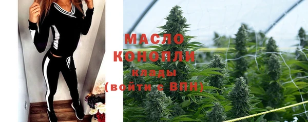 СК Новодвинск