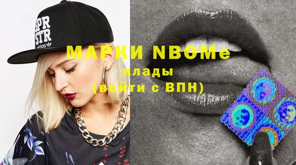 стафф Новозыбков