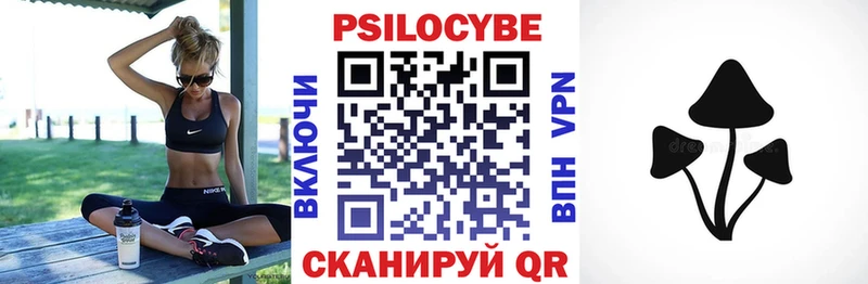 Галлюциногенные грибы Cubensis  Чекалин 